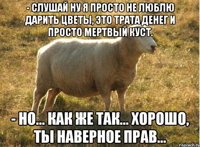 - Слушай ну я просто не люблю дарить цветы, это трата денег и просто мертвый куст. - Но... как же так... хорошо, ты наверное прав..., Мем Типичная овца