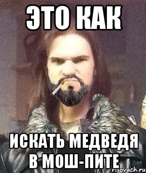 Это как Искать медведя в мош-пите, Мем Типичный Мошер