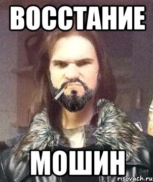 Восстание МОШин