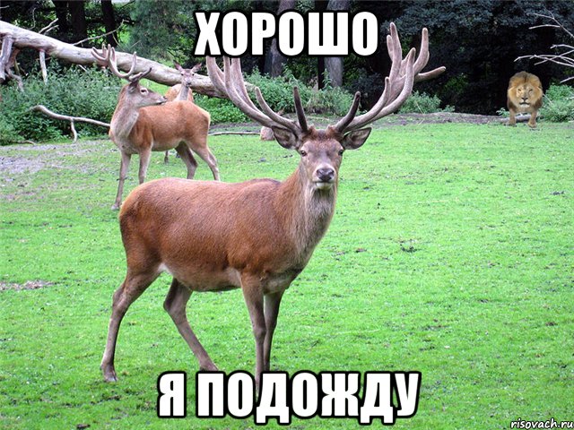 Хорошо Я подожду