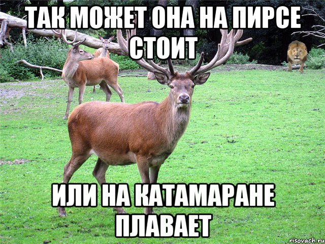 ТАК МОЖЕТ ОНА НА ПИРСЕ СТОИТ ИЛИ НА КАТАМАРАНЕ ПЛАВАЕТ