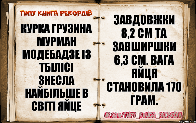 Курка грузина Мурман Модебадзе із Тбілісі знесла найбільше в світі яйце завдовжки 8,2 см та завширшки 6,3 см. Вага яйця становила 170 грам.