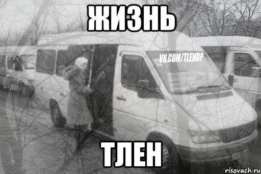 жизнь тлен