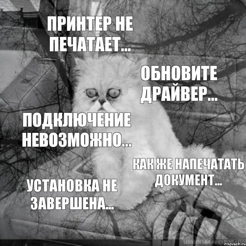 принтер не печатает... обновите драйвер... подключение невозможно... как же напечатать документ... установка не завершена...