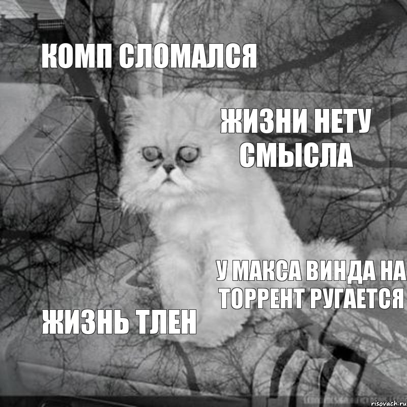 комп сломался жизни нету смысла  у макса винда на торрент ругается жизнь тлен, Комикс  кот безысходность