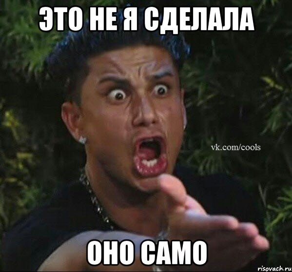это не я сделала оно само