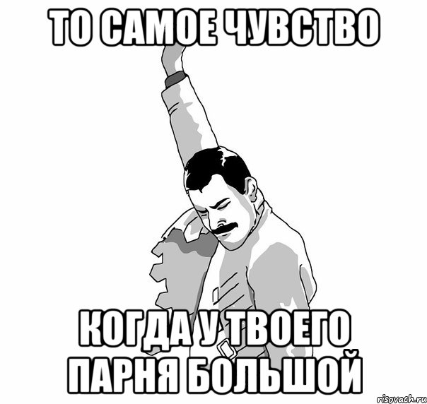 ТО САМОЕ ЧУВСТВО КОГДА У ТВОЕГО ПАРНЯ БОЛЬШОЙ, Мем   Фрэдди Меркьюри (успех)