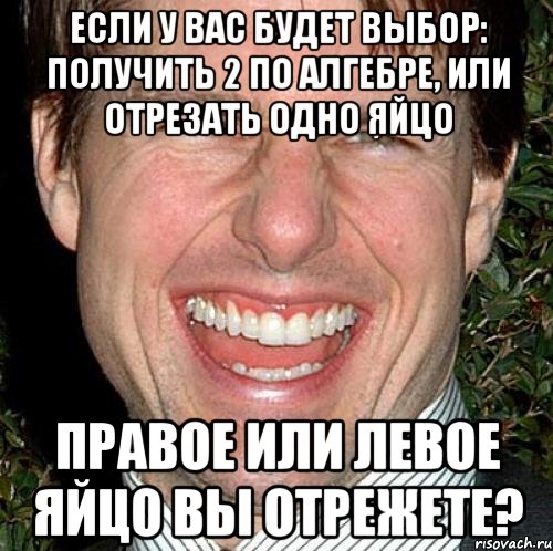 Если у вас будет выбор: получить 2 по алгебре, или отрезать одно яйцо Правое или левое яйцо вы отрежете?, Мем Том Круз