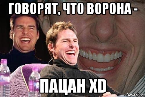 Говорят, что ворона - пацан XD, Мем том круз