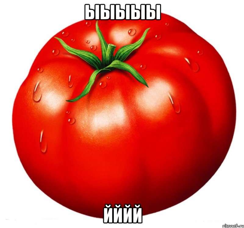 ыыыыы йййй, Мем томат