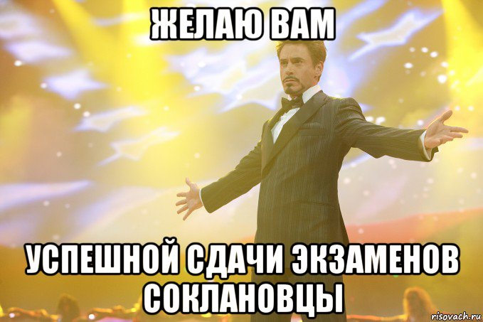 ЖЕЛАЮ ВАМ УСПЕШНОЙ СДАЧИ ЭКЗАМЕНОВ СОКЛАНОВЦЫ, Мем Тони Старк (Роберт Дауни младший)