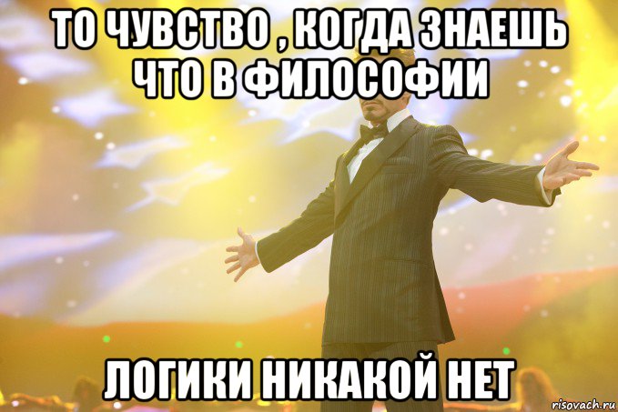 то чувство , когда знаешь что в философии логики никакой нет, Мем Тони Старк (Роберт Дауни младший)