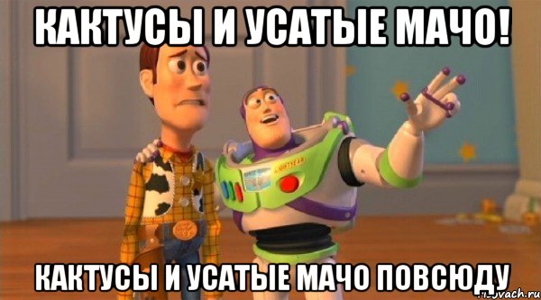 кактусы и усатые мачо! кактусы и усатые мачо повсюду
