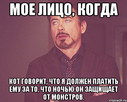 мое лицо, когда кот говорит, что я должен платить ему за то, что ночью он защищает от монстров., Мем твое выражение лица