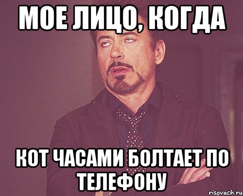 мое лицо, когда кот часами болтает по телефону, Мем твое выражение лица