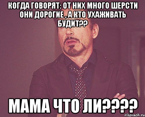 Когда говорят: ОТ них много шерсти они дорогие , а кто ухаживать будит?? Мама что ли????, Мем твое выражение лица