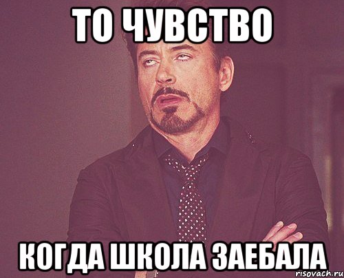 ТО ЧУВСТВО КОГДА ШКОЛА ЗАЕБАЛА, Мем твое выражение лица