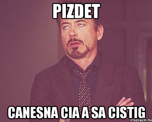 Pizdet Canesna cia a sa cistig, Мем твое выражение лица