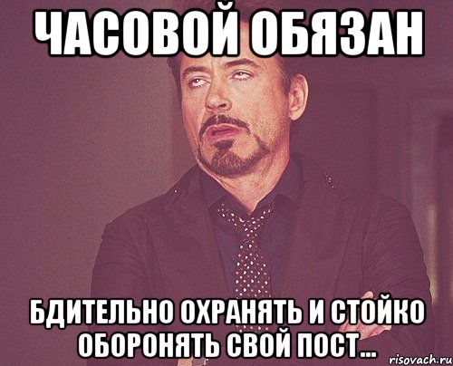 Часовой обязан Бдительно охранять и стойко оборонять свой пост..., Мем твое выражение лица