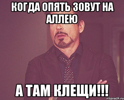 КОГДА ОПЯТЬ ЗОВУТ НА АЛЛЕЮ А ТАМ КЛЕЩИ!!!, Мем твое выражение лица