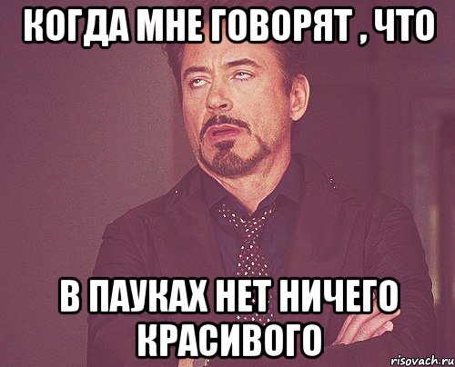 Когда мне говорят , что в пауках нет ничего красивого, Мем твое выражение лица