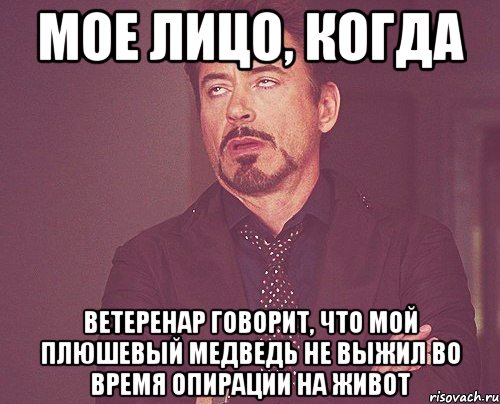 Мое лицо, когда Ветеренар говорит, что мой плюшевый медведь не выжил во время опирации на живот, Мем твое выражение лица