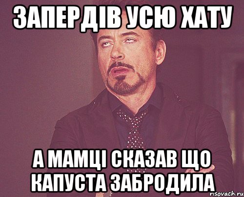 Запердів усю хату а мамці сказав що капуста забродила, Мем твое выражение лица