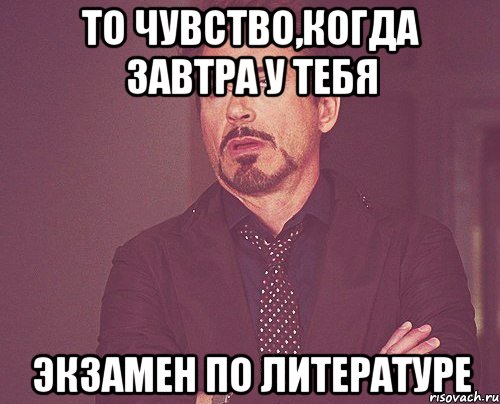 то чувство,когда завтра у тебя экзамен по литературе, Мем твое выражение лица