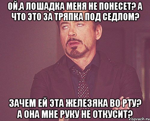 Ой,а лошадка меня не понесет? А что это за тряпка под седлом? Зачем ей эта железяка во рту? А она мне руку не откусит?, Мем твое выражение лица