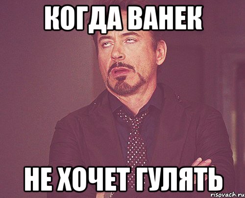 Когда Ванек не хочет гулять, Мем твое выражение лица