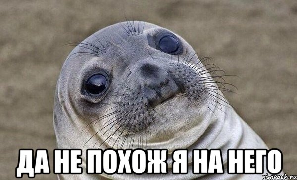 да не похож я на него