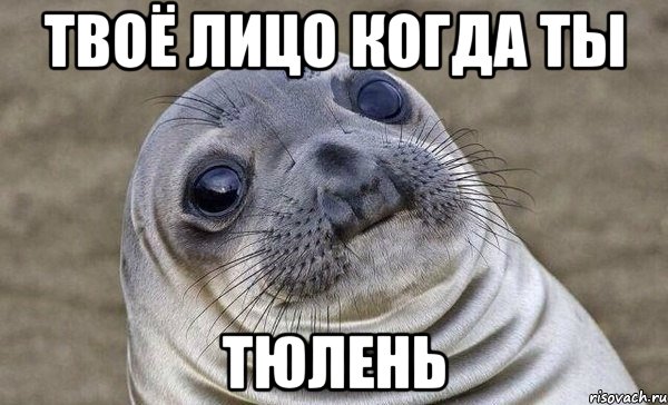 твоё лицо когда ты тюлень