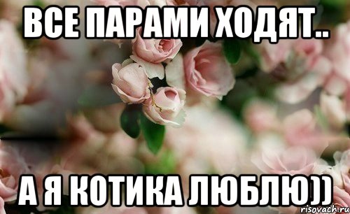 Все парами ходят.. А я котика люблю))