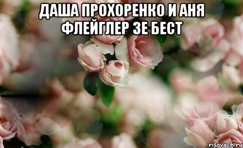 даша прохоренко и аня флейглер зе бест 