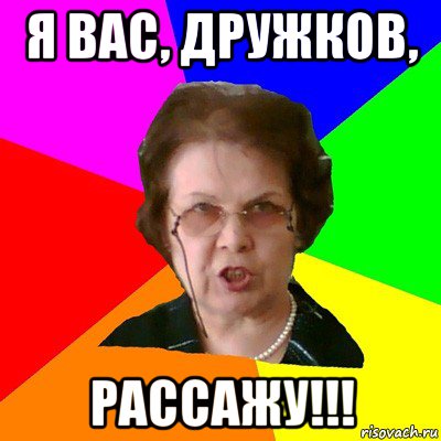 Я ВАС, ДРУЖКОВ, РАССАЖУ!!!, Мем Типичная училка