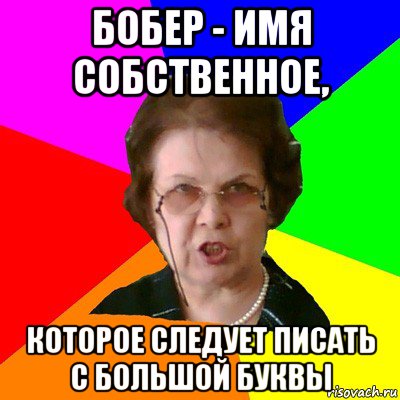 Бобер - имя собственное, которое следует писать с большой буквы, Мем Типичная училка