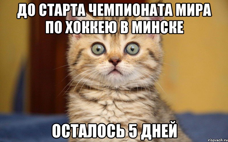 До старта чемпионата мира по хоккею в минске осталось 5 дней, Мем  удивление