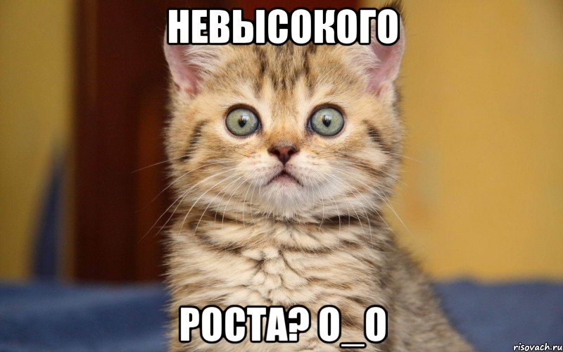 Невысокого Роста? О_о