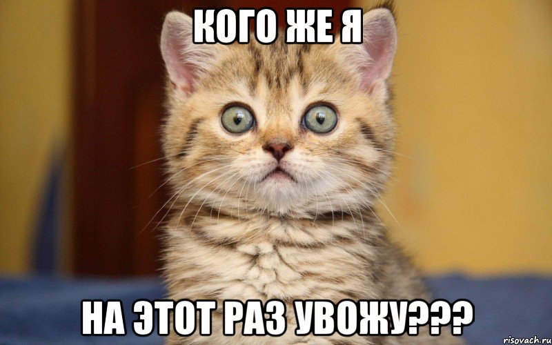 кого же я на этот раз увожу???