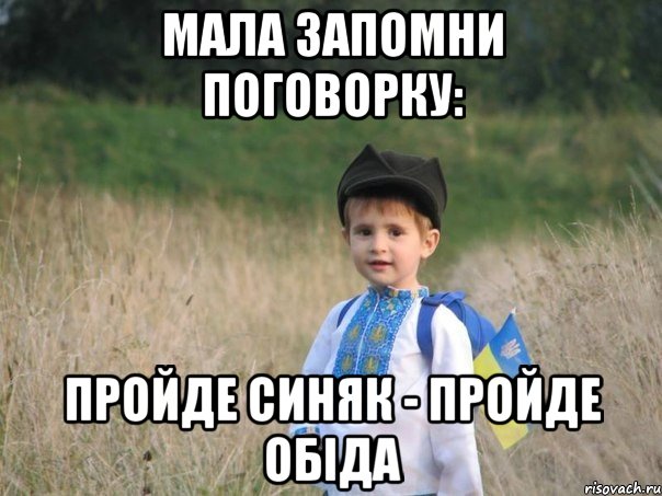 МАЛА ЗАПОМНИ ПОГОВОРКУ: ПРОЙДЕ СИНЯК - ПРОЙДЕ ОБІДА, Мем Украина - Единая