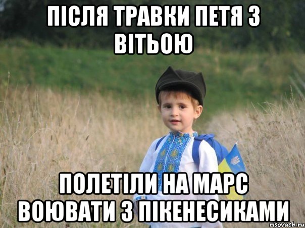 Після травки петя з вітьою Полетіли на марс воювати з пікенесиками, Мем Украина - Единая