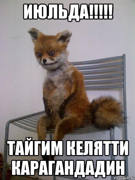 июльда!!!!! тайгим келятти карагандадин, Мем Упоротая лиса