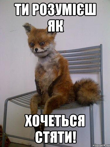 Ти розумієш як хочеться стяти!, Мем Упоротая лиса