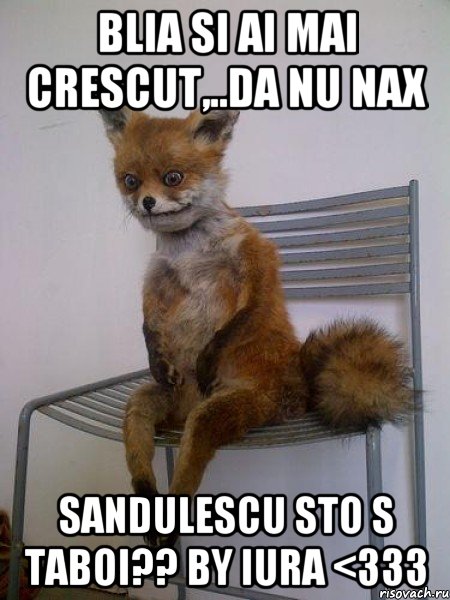 Blia si ai mai crescut,..da nu nax Sandulescu Sto s Taboi?? By Iura <333, Мем Упоротая лиса