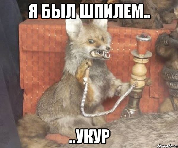 Я был шпилем.. ..укур