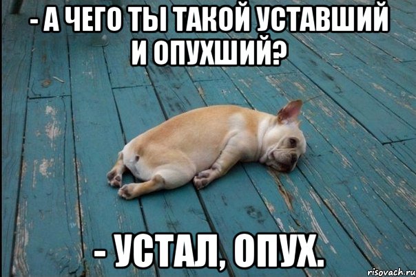 - А чего ты такой уставший и опухший? - Устал, опух.