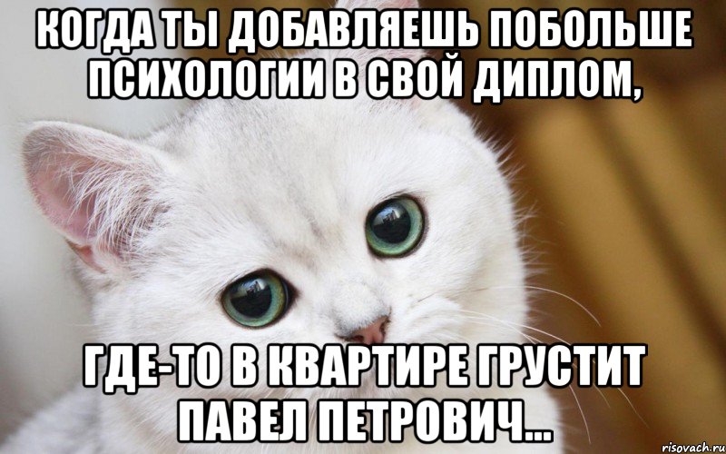 Когда ты добавляешь побольше психологии в свой диплом, где-то в квартире грустит Павел Петрович..., Мем  В мире грустит один котик