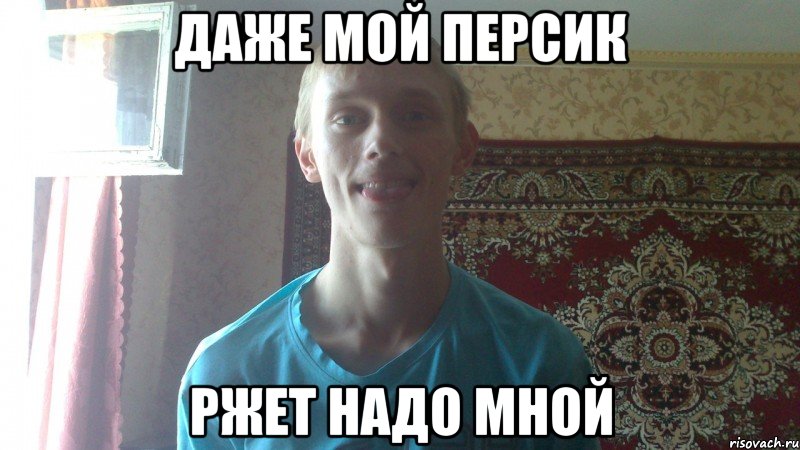 даже мой персик ржет надо мной