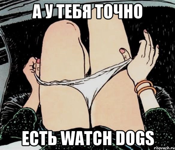 А У ТЕБЯ ТОЧНО ЕСТЬ Watch Dogs, Мем А ты точно