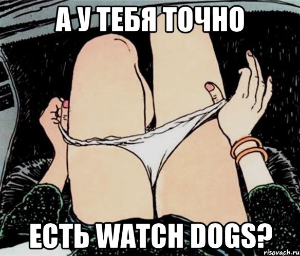 А У ТЕБЯ ТОЧНО ЕСТЬ Watch Dogs?, Мем А ты точно